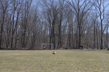 20250323_Tilly and Dog Park and Portraits_DSC_0113_.jpg