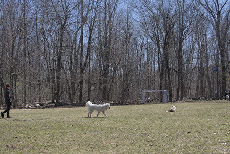 20250323_Tilly and Dog Park and Portraits_DSC_0115_.jpg