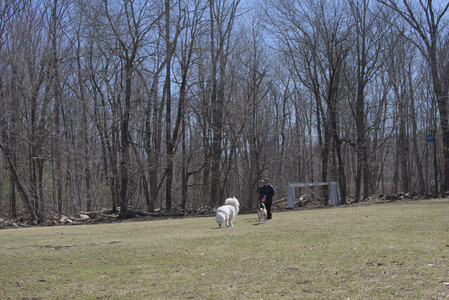 20250323_Tilly and Dog Park and Portraits_DSC_0121_.jpg