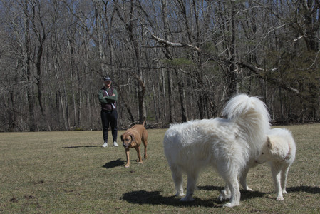 20250323_Tilly and Dog Park and Portraits_DSC_0124_.jpg