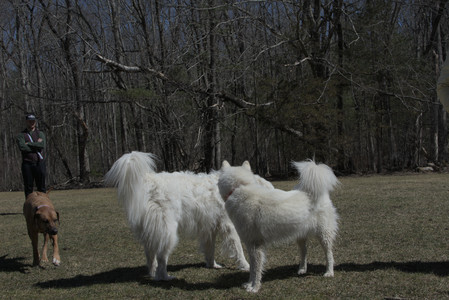 20250323_Tilly and Dog Park and Portraits_DSC_0125_.jpg