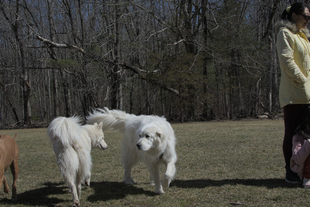 20250323_Tilly and Dog Park and Portraits_DSC_0127_.jpg