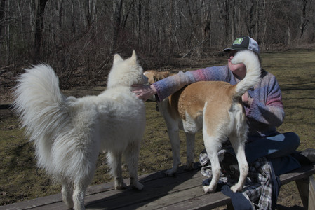 20250323_Tilly and Dog Park and Portraits_DSC_0134_.jpg