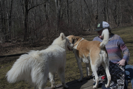 20250323_Tilly and Dog Park and Portraits_DSC_0135_.jpg