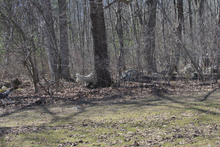 20250323_Tilly and Dog Park and Portraits_DSC_0142_.jpg