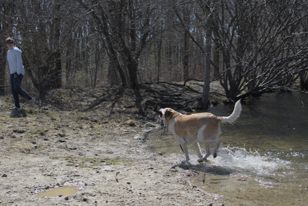 20250323_Tilly and Dog Park and Portraits_DSC_0153_.jpg