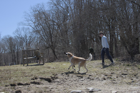 20250323_Tilly and Dog Park and Portraits_DSC_0155_.jpg