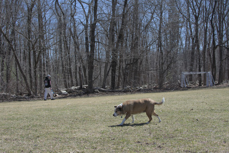 20250323_Tilly and Dog Park and Portraits_DSC_0181_.jpg