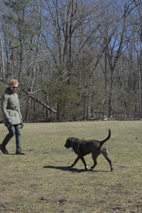 20250323_Tilly and Dog Park and Portraits_DSC_0195_.jpg