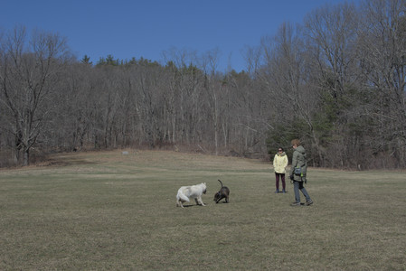 20250323_Tilly and Dog Park and Portraits_DSC_0213_.jpg