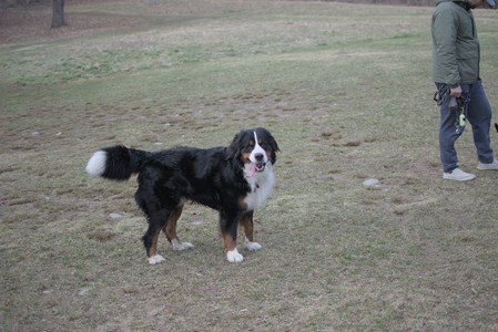 20250325_Dog park_DSC_0338_.jpg