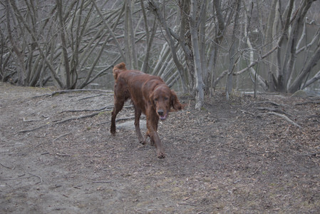 20250325_Dog park_DSC_0342_.jpg