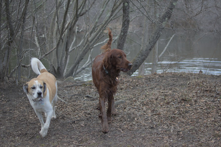 20250325_Dog park_DSC_0351_.jpg