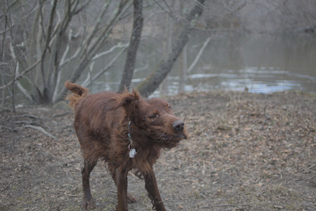 20250325_Dog park_DSC_0352_.jpg