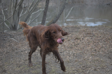 20250325_Dog park_DSC_0353_.jpg