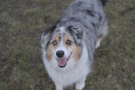 20250325_Dog park_DSC_0358_.jpg