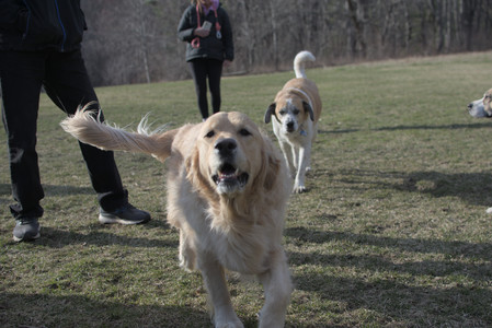 20250325_Dog park_DSC_0393_.jpg
