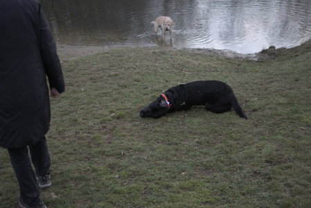 20250327_Dog walk_DSC_0519_.jpg