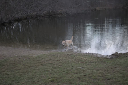 20250327_Dog walk_DSC_0520_.jpg