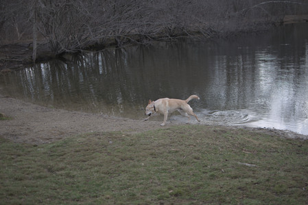 20250327_Dog walk_DSC_0521_.jpg