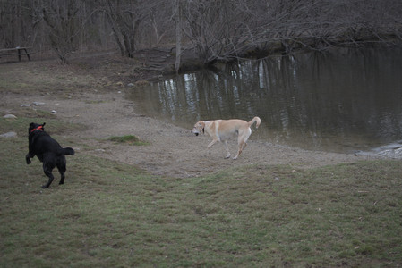 20250327_Dog walk_DSC_0522_.jpg