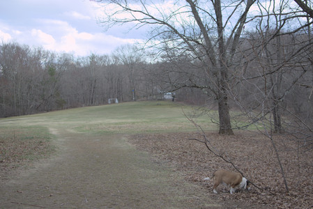 20250327_Dog walk_DSC_0527_.jpg