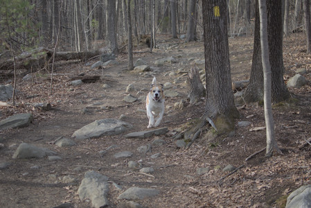 20250327_Dog walk_DSC_0539_.jpg