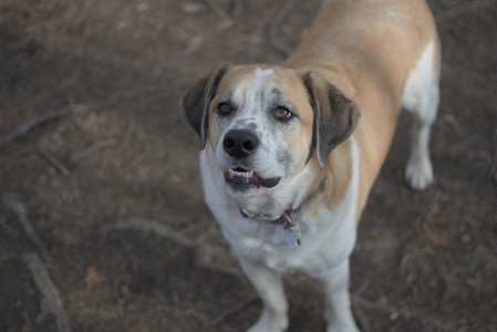 20250327_Dog walk_DSC_0549_.jpg