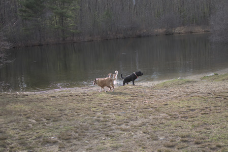 20250327_Dog walk_DSC_0558_.jpg