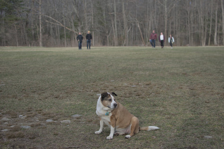 20250327_Dog walk_DSC_0571_.jpg