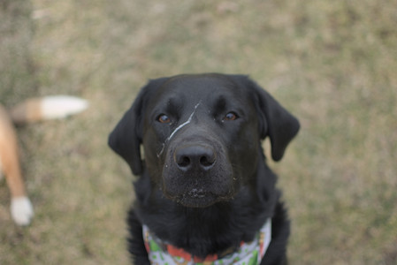 20250327_Dog walk_DSC_0574_.jpg