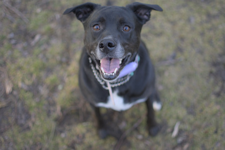 20250327_Dog walk_DSC_0579_.jpg