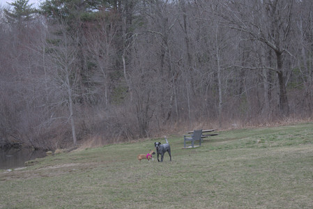 20250328_Dog Park_DSC_0791_.jpg