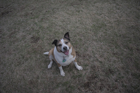 20250328_Dog Park_DSC_0799_.jpg