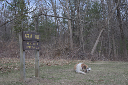 20250328_Dog Park_DSC_0806_.jpg