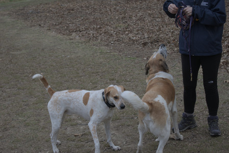 20250328_Dog Park_DSC_0808_.jpg