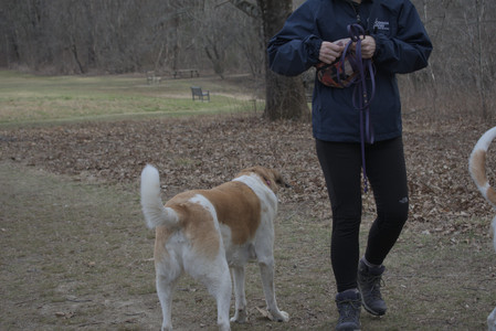 20250328_Dog Park_DSC_0809_.jpg