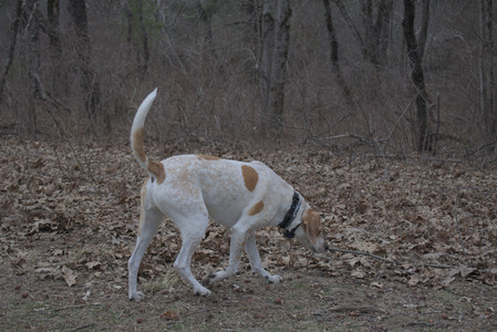 20250328_Dog Park_DSC_0810_.jpg