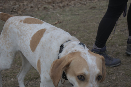 20250328_Dog Park_DSC_0812_.jpg