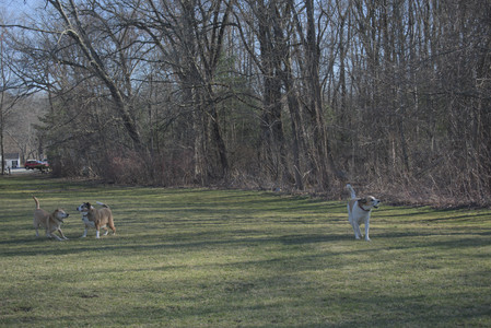 20250401_Macro_DSC_0023 (1)_.jpg