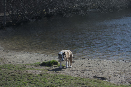 20250401_Macro_DSC_0032 (1)_.jpg