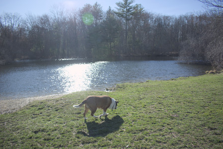 20250401_Macro_DSC_0035 (1)_.jpg