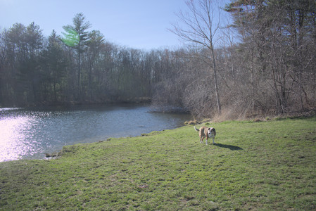 20250401_Macro_DSC_0037 (1)_.jpg