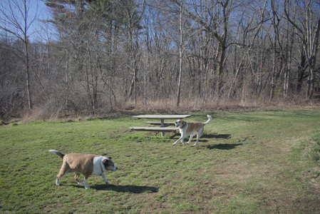 20250401_Macro_DSC_0039 (1)_.jpg