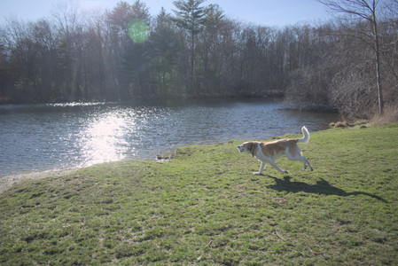 20250401_Macro_DSC_0040 (1)_.jpg