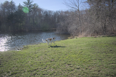 20250401_Macro_DSC_0044 (1)_.jpg