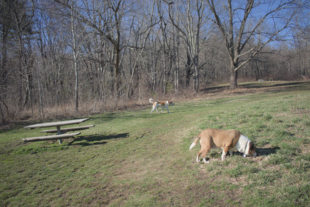 20250401_Macro_DSC_0048 (1)_.jpg