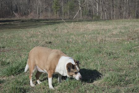 20250401_Macro_DSC_0050 (1)_.jpg