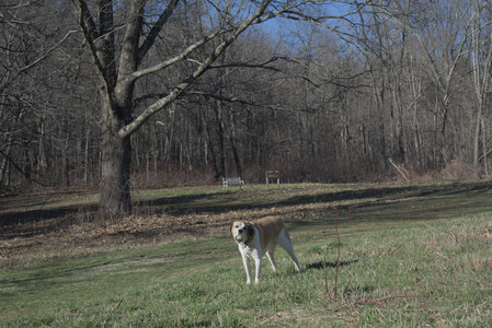 20250401_Macro_DSC_0052 (1)_.jpg