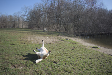 20250401_Macro_DSC_0056 (1)_.jpg